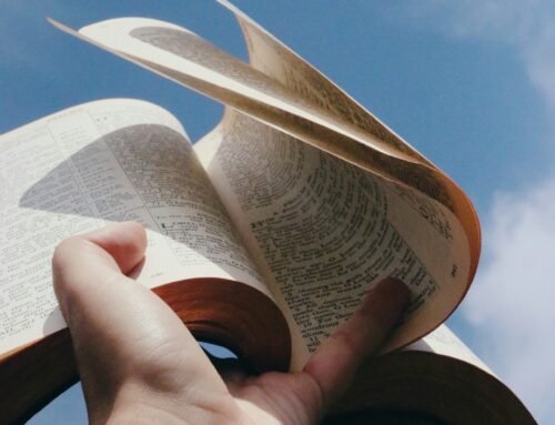 Bookcrossing • Agosto 2025