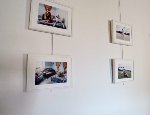 Bookcrossing e finissage della mostra “Kindest Kind of Kin” di Angela Anzalone