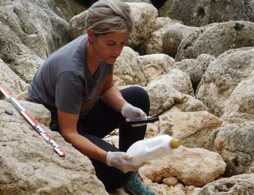 “Tracce in movimento” di e con Francesca Anichini