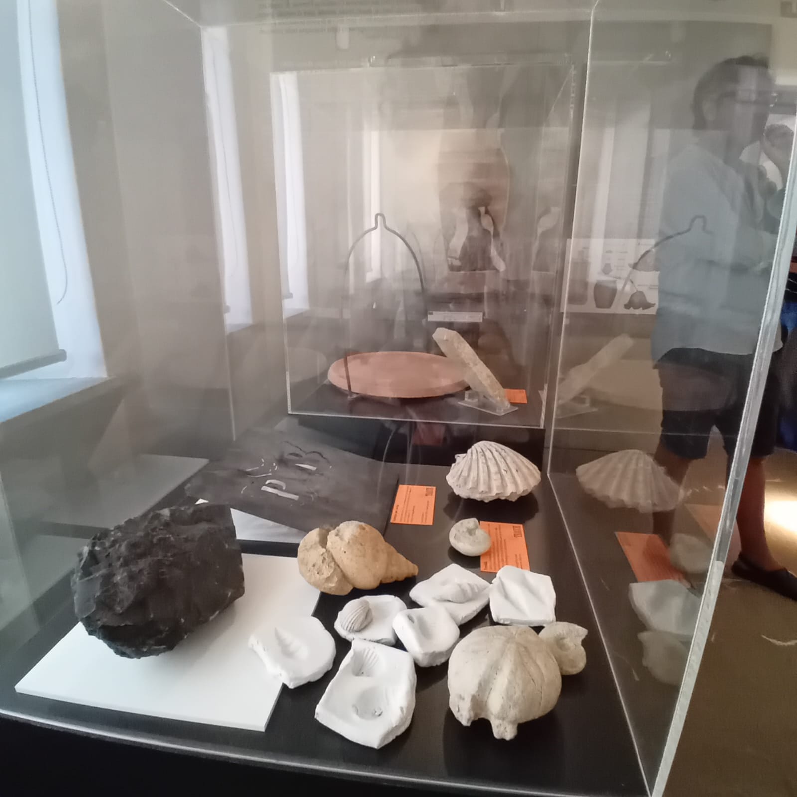 MUSAS BALDINI_Impressioni_luglio 2025 (9)