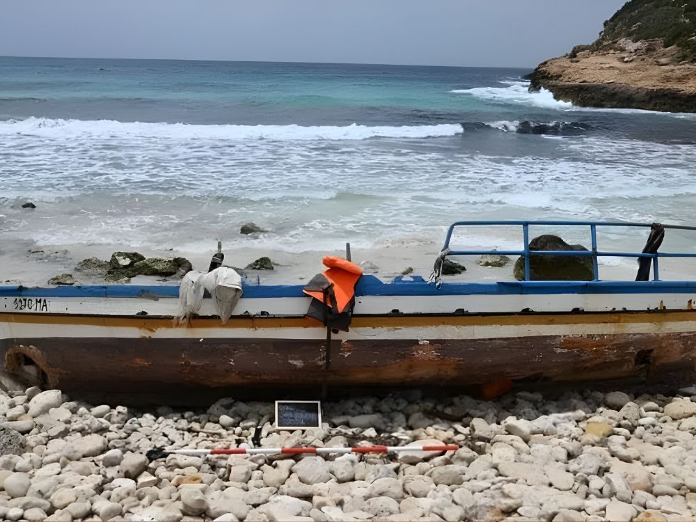 Progetto Francesca Anichini 2