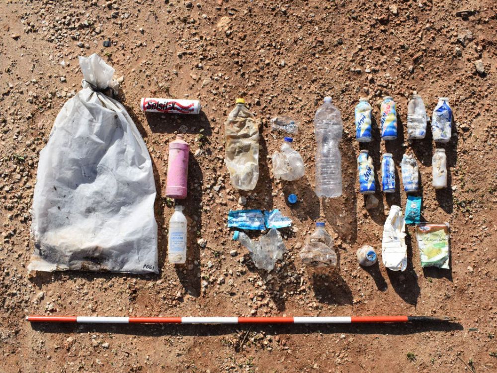 Progetto Francesca Anichini